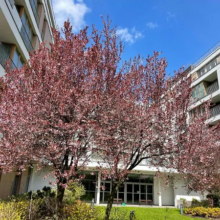 Exclusive In The Heart Of Apartment *
